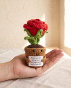 Crochet rose pot desk buddy held in a palm to show its size