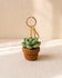 Crochet succulent keychain bag charm